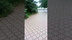 стрим