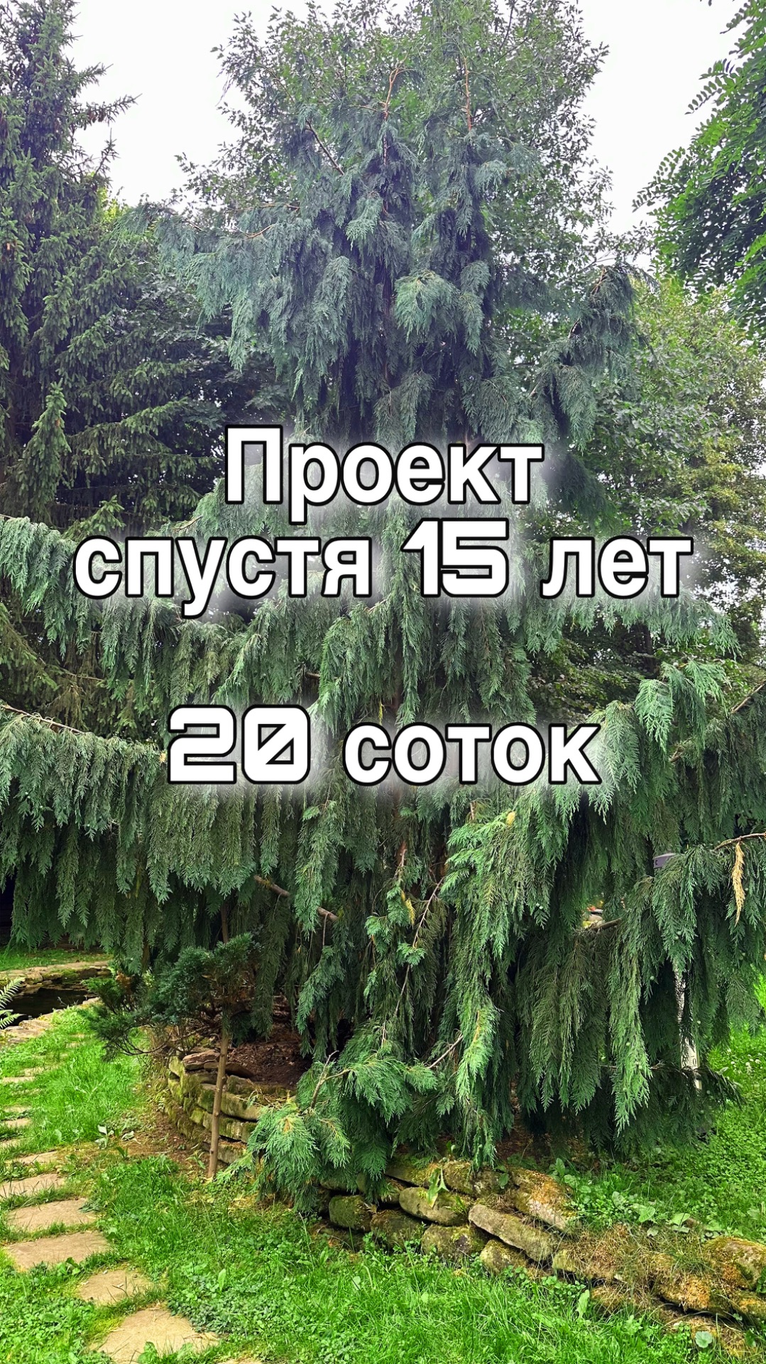 Проекты