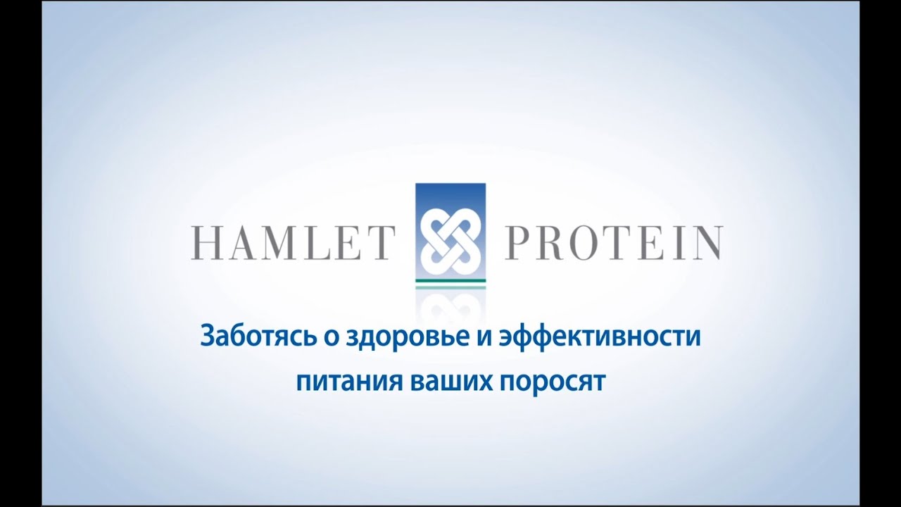 HP 300 от Hamlet Protein - ООО 
