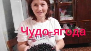 Чудо-ягода