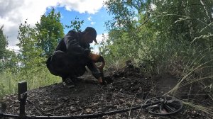 Приборный поиск. Набрали и железо и цикория.