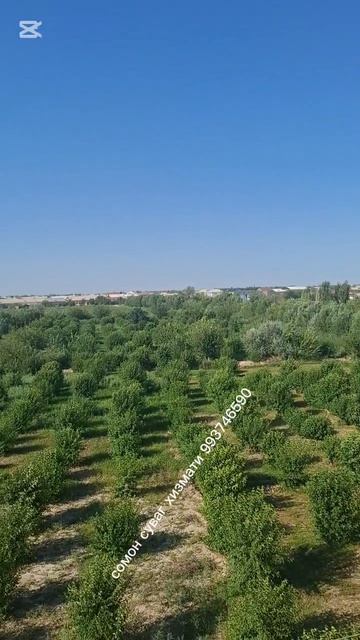 усталар хизмати