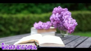 Одинокая ветка сирени.