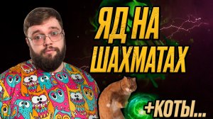 ЯД НА ШАХМАТАХ + КОТЫ | Dragonheir: Silent Gods