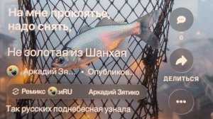 «Не золотая из Шанхая» чётные желания