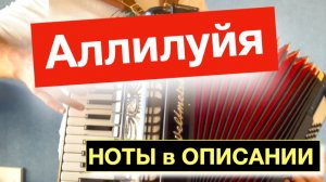 Видео разбор как играть на аккордеоне песню Аллилуйя