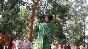 Всероссийский парад семьи.День семьи, любви и верности.