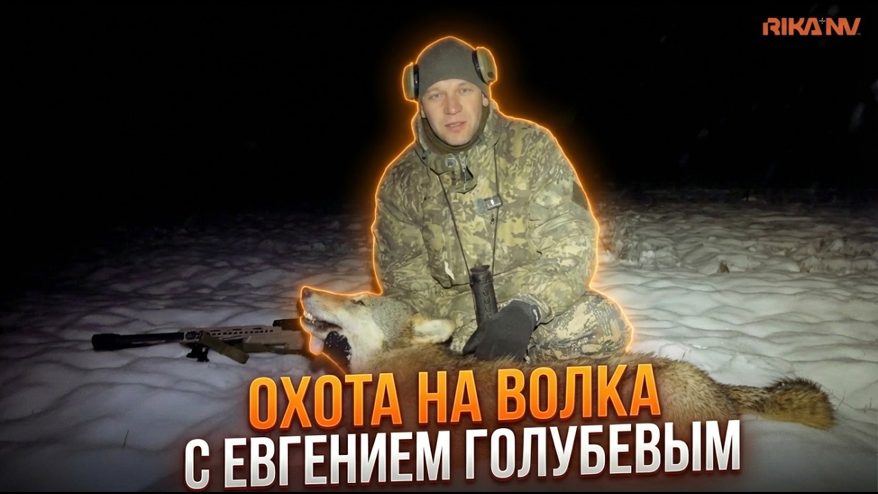 Охота на волка с Евгением Голубевым: реальный тест RikaNV Lesnik2 650L и Hypnose2 650L смотреть онлайн