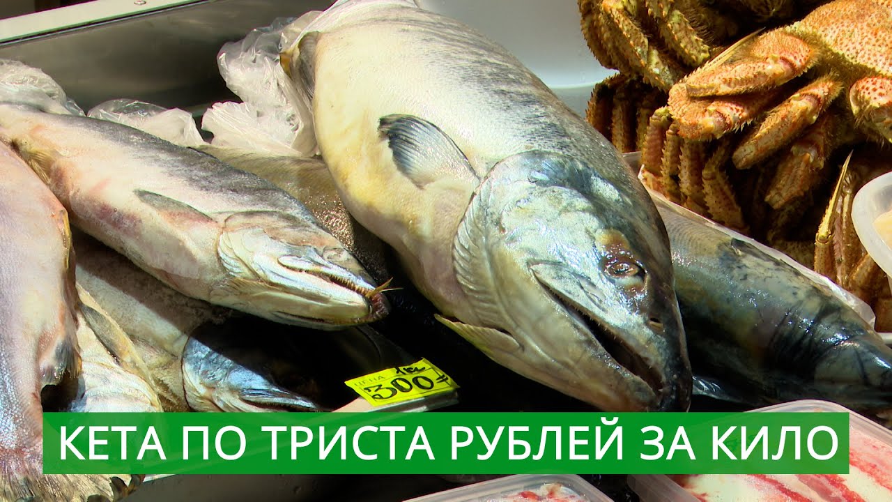 Недоступная рыба. Цены на кету - 300 рублей за кило смотреть онлайн