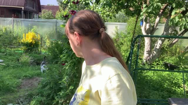 Привет с дачи, гуляем с котиком