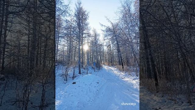 Брейкбит группа "ПАЦАНЫ ЗА ГАРАЖАМИ КСК". "Белые дороги губернатора" 2025 смотреть онлайн