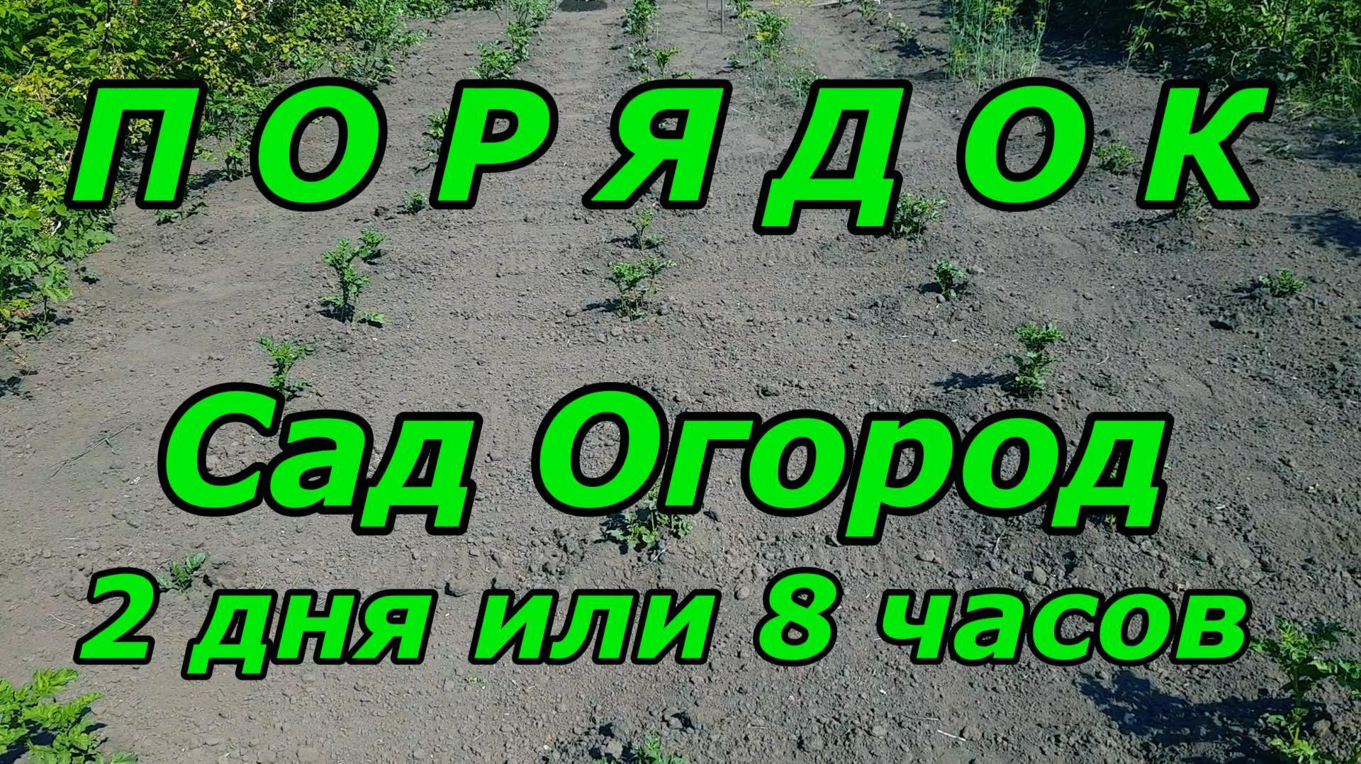 Порядок Сад - Огород 2 дня или 8 часов...