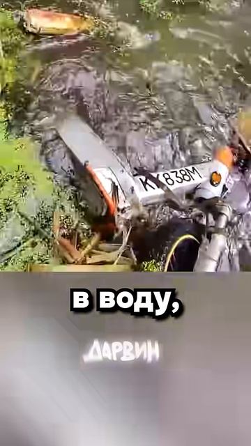 Где ночуют самокаты？ смотреть онлайн