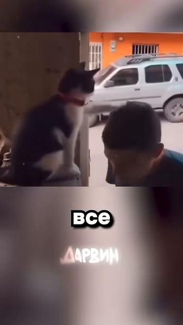 Благословляю вас на рыбов смотреть онлайн