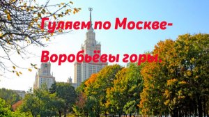 Любуемся Москвой со высоты Воробьевых гор.