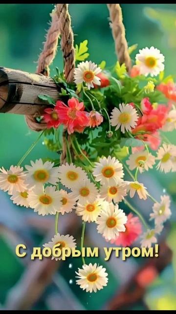 Доброе утро!🌸 смотреть онлайн