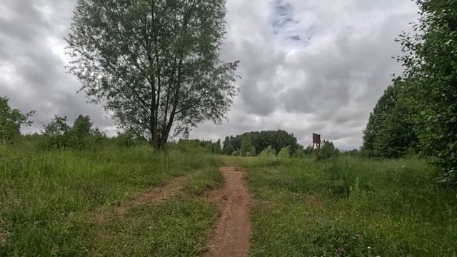 чудесный лес серия 17