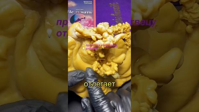 Диагностика негатива на воске смотреть онлайн
