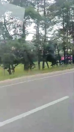 Я катаюсь на маршрутке номер 48к