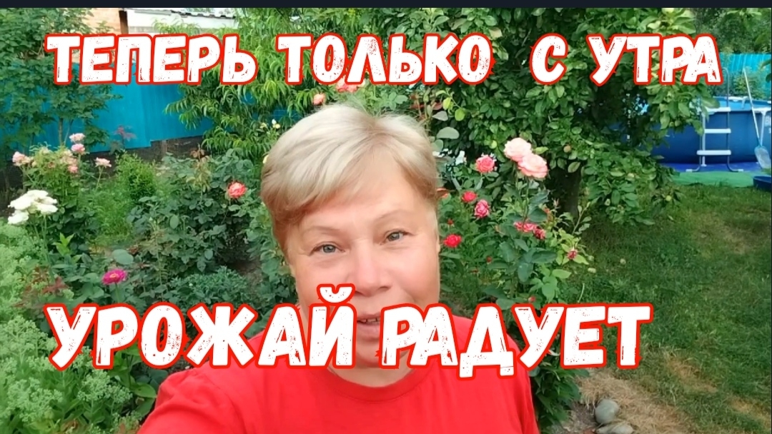 302🏡Собираю урожай/Вот это перцы/Помидор хватит смотреть онлайн