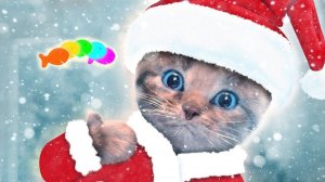 ПРИКЛЮЧЕНИЕ МАЛЕНЬКОГО КОТЕНКА мультик смешное видео для детей мультфильм про котиков #ММ