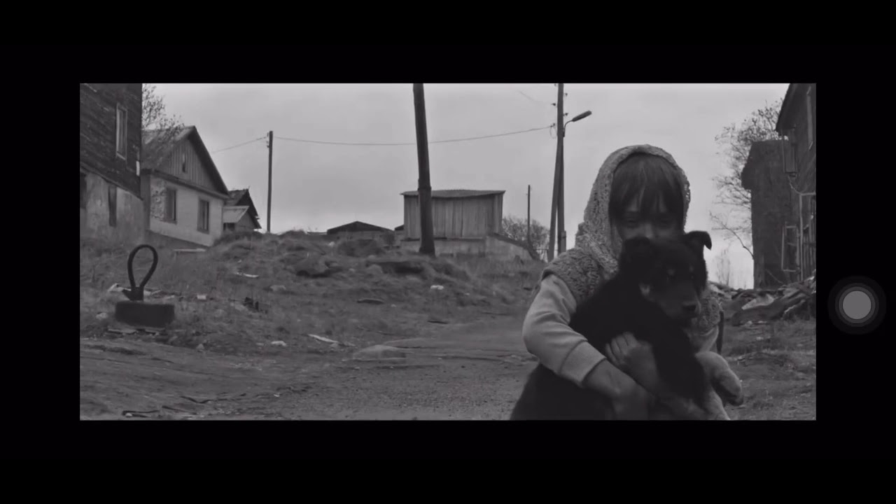 Дарья Котова - Лебеди (детям войны посвящается) смотреть онлайн