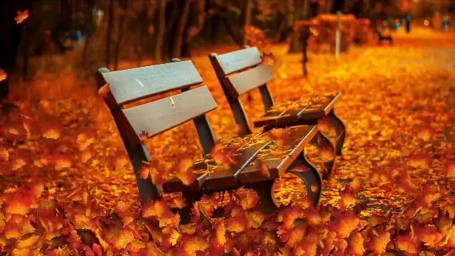 Грустная Осень. смотреть онлайн