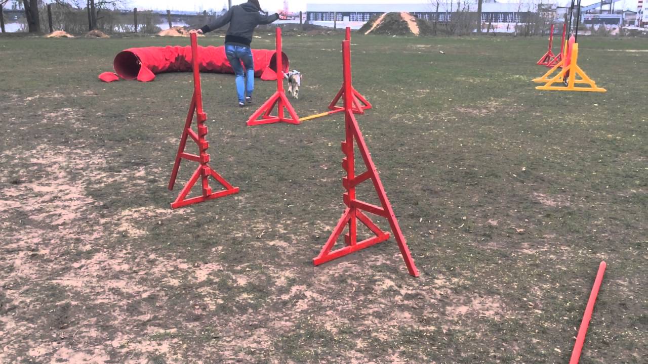 Бэйлиз связка 3 17.04.16 смотреть онлайн