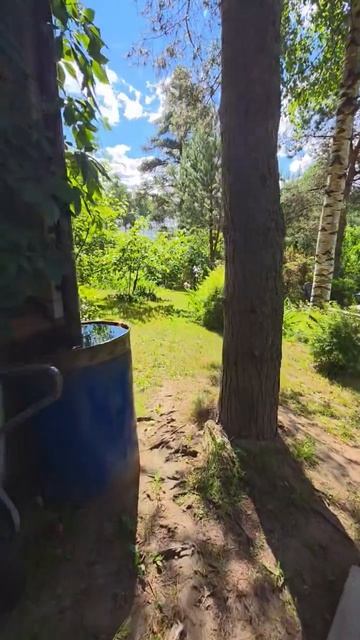 1000048708.mp4