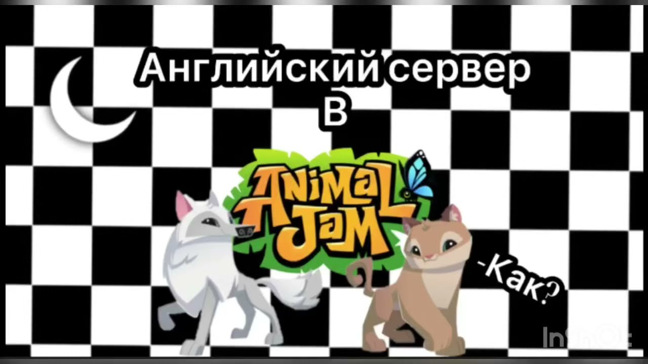 |Animal jam как попасть на английский сервер| смотреть онлайн