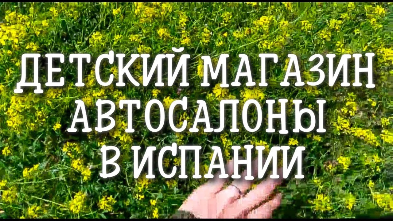 VLog смотреть онлайн