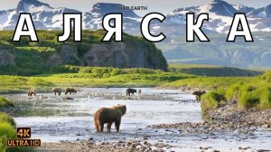 Дикая Аляска. Власть природы Полный документальный фильм о дикой природе