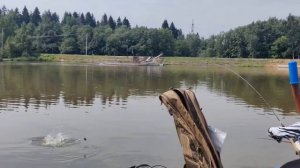 поимка карпов на песчаном берегу