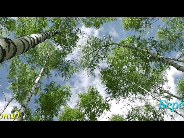 Берёзы на зоне (Михаил Гулько) Кавер 2007 смотреть онлайн