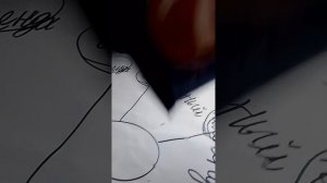 1000006066.mp4