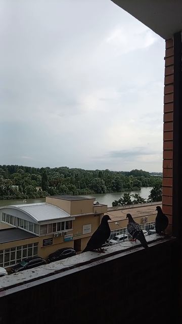 БЛАГОДАТЬ💞 , НА БЛАГОДАТЬ🙏 !!! ВРЕМЕНА💞 ЧУДЕС😍 !!!