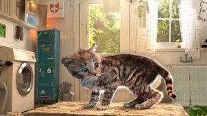Приключенческие образовательные игры Little Kitten для дошкольников — играйте весело Геймп