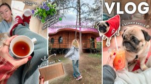 VLOG: Моя Повседневная Жизнь✨🐇 Отдых в Домах, Аллегрия на Маску😰 Шоппинг в Леруа Мерлен, Съемки