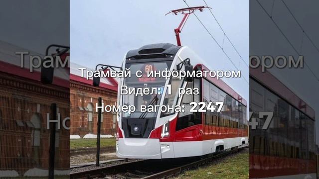 Редкие вещи в моем городе. Часть 1. 🍃🌊🐬