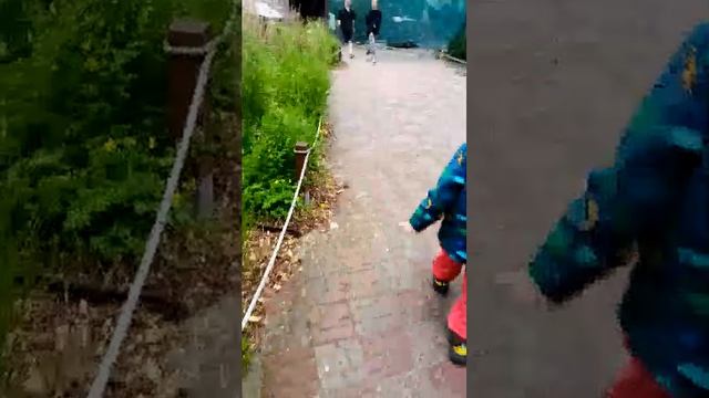 мы идëм в зоопарк смотреть онлайн