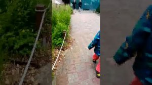 мы идëм в зоопарк