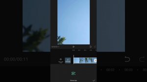 Как делать интересный эффект (на черно-белом видео цветное) с помощью приложения cupcat.