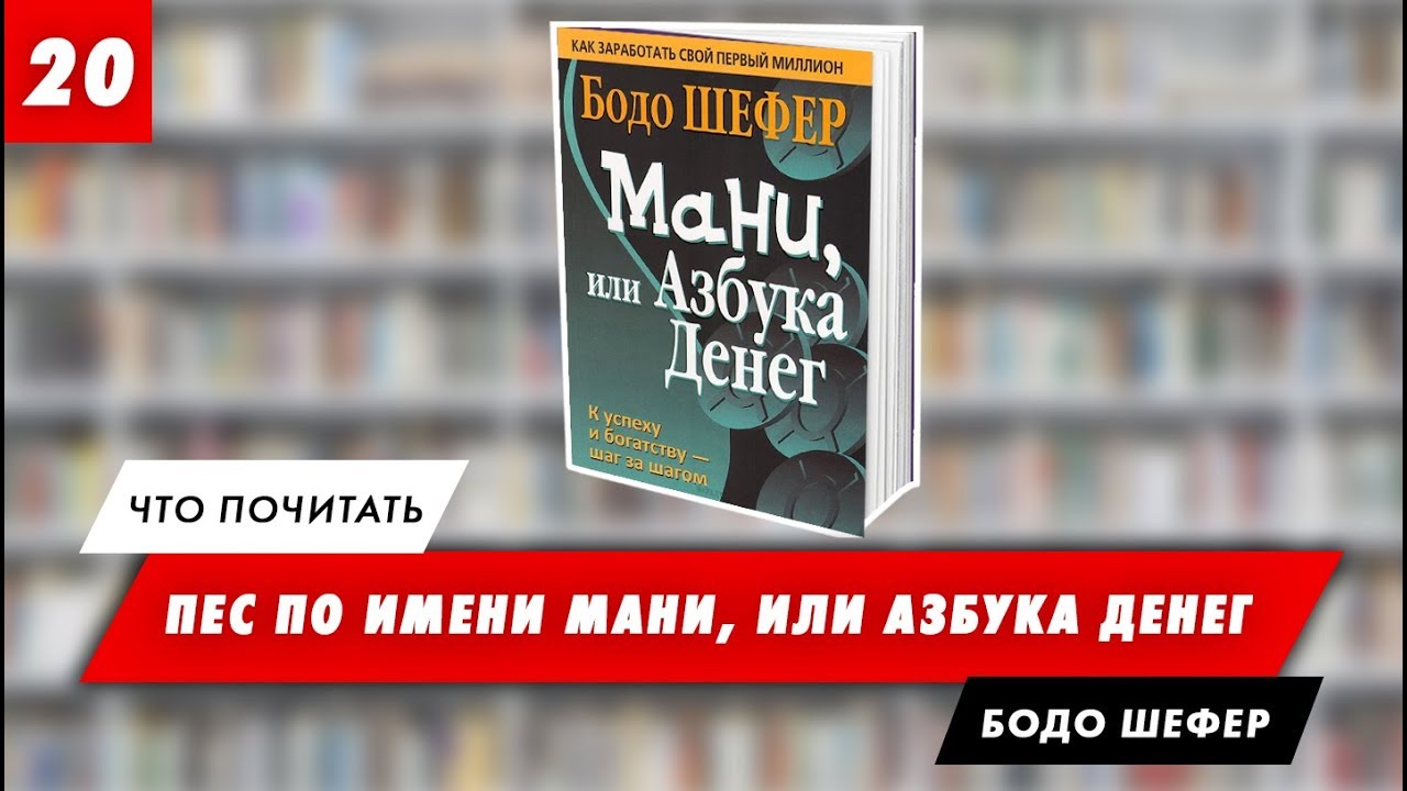 ПЕС ПО ИМЕНИ МАНИ ИЛИ АЗБУКА ДЕНЕГ БОДО ШЕФЕР КНИГИ ПО СТРАТЕГИЯМ БОГАТСТВА ЖИТЬ ДОСТОЙНО ОБЕСПЕЧЕНО смотреть онлайн