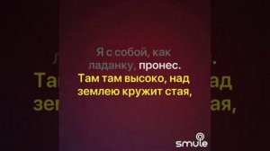 Голуби