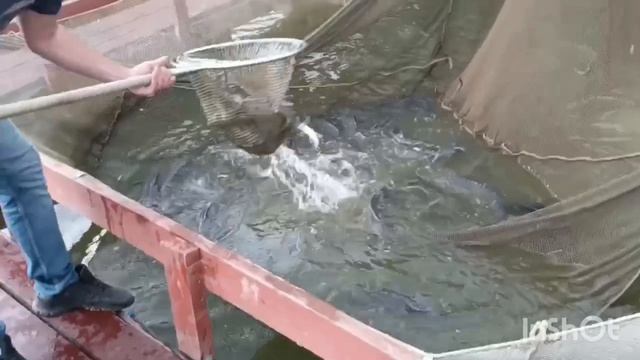 1000157865.mp4 смотреть онлайн