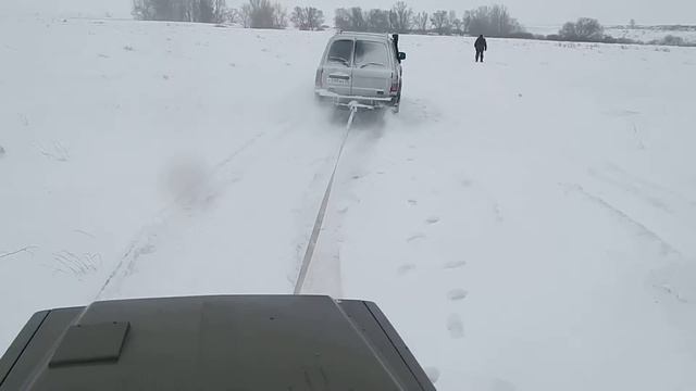 ребята веселятся