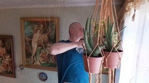 День как день. Повесил кашпо. Буду поливать растения.