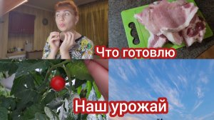 Семья из Мариуполя. Что готовлю. Первый урожай. #мариуполь #мариупольсегодня