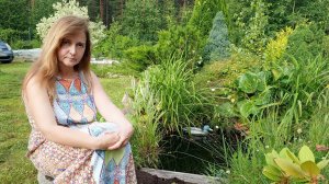 Танин сад. Сок манго в бокалах - за здоровье и процветание хозяйки сада! С днем рождения!