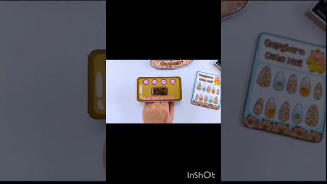 советы для  новичков по бдж